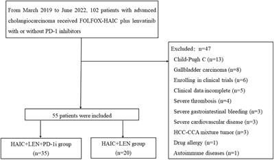 Hepatic arterial infusion chemotherapy plus lenvatinib with or without programmed cell death protein-1 inhibitors for advanced cholangiocarcinoma